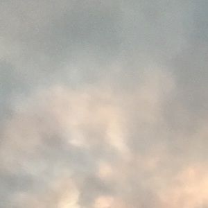 Meet your Posher, Bethany